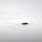 thumbnail - 3
