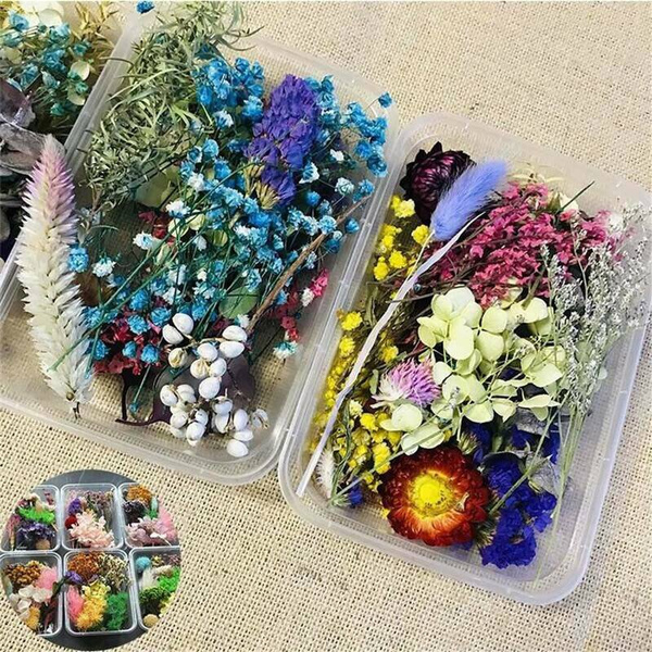 1 Box Real Dried Flowers For DIY Art Craft Epoxy Resin Pendant Jewelry Making CA 1 Box Real Dried Flowers For DIY Art Craft Epoxy Resin Pendant Jewelry Making CA