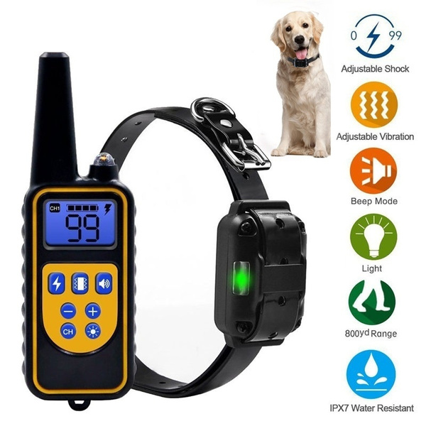 remote control training collar