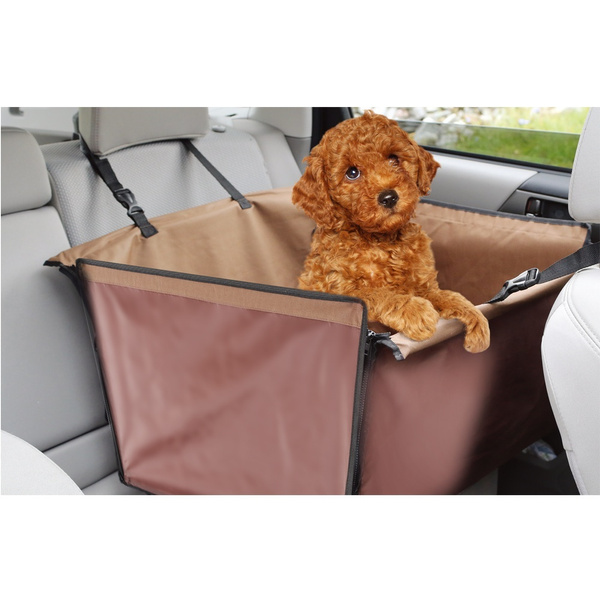 dog car travel products