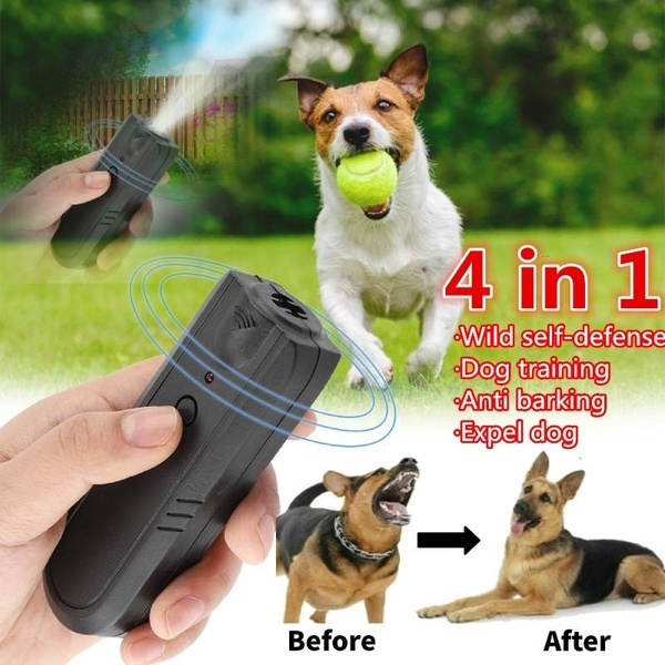 voice activated dog collar