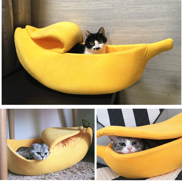 wish cat bed