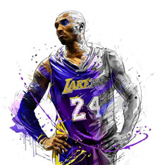 Basketball, superstar, stitch, Sports & Outdoors