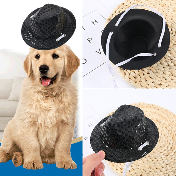 straw hats for dogs