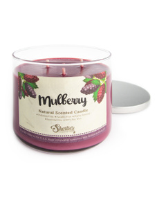 Mulberry, fallchristmasthanksgivingsoycandlemulberry, Fragrance, Candle