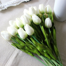 Home & Kitchen, Flowers, Gifts, Tulips