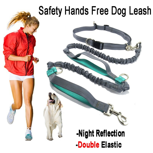 dog running accessories