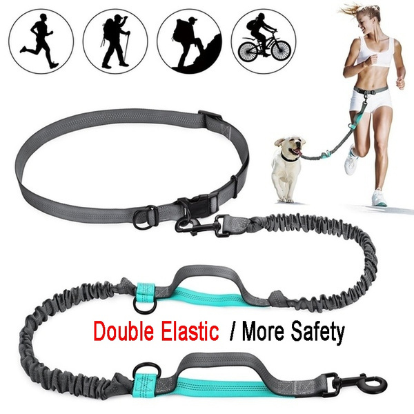 outdoor dog leash