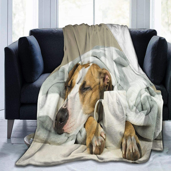 pitbull throw blanket