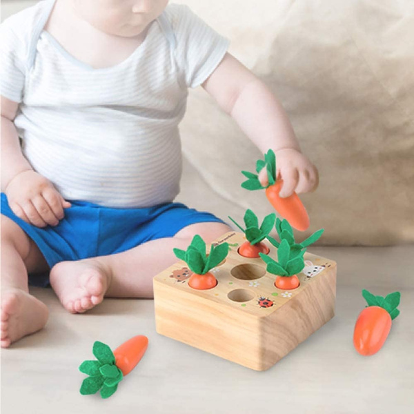 montessori sorting toys