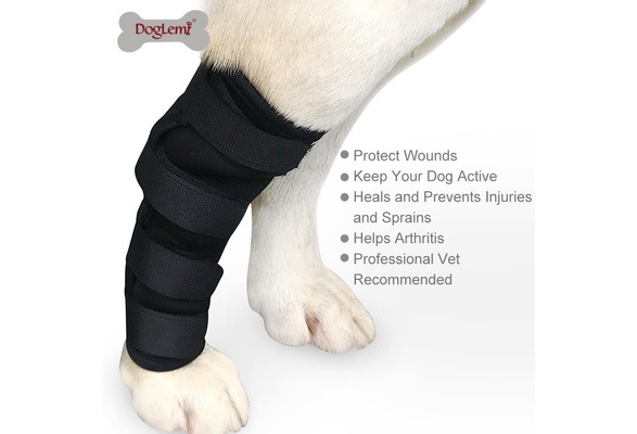 compression bandage for dogs