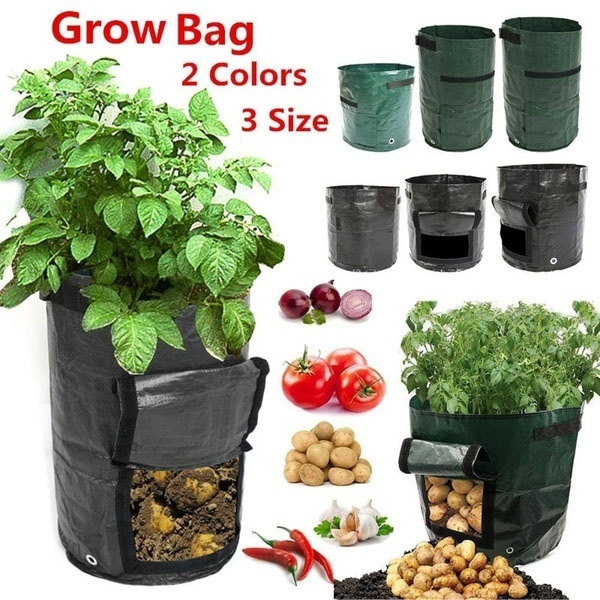 Best Grow Bags for Your Garden—2024 Reviews – Garden Betty