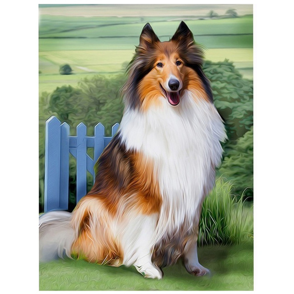 Cute Rough Collie - Diamond Paintings 