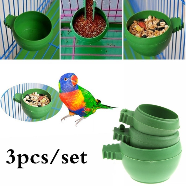 Bird on sale food bowl