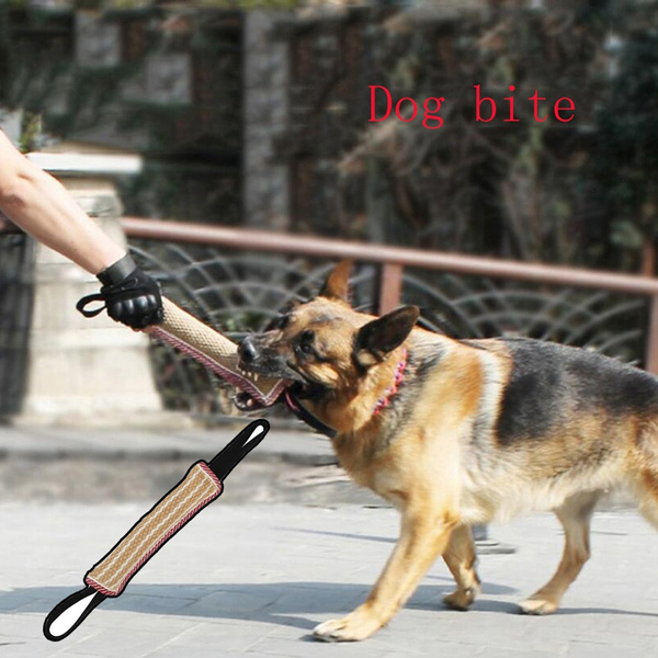 bite pillow dog training