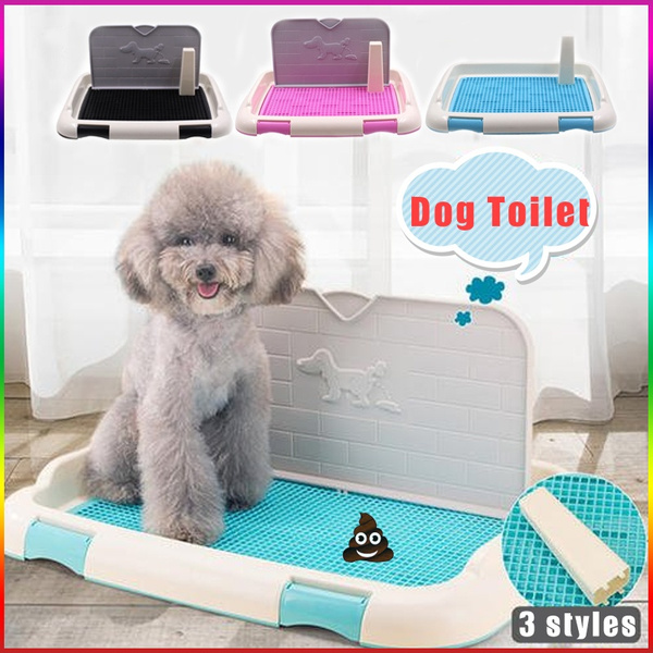 Dog 2024 potty accessories