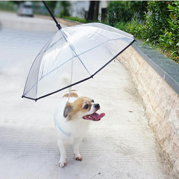 Pet umbrella for clearance dogs