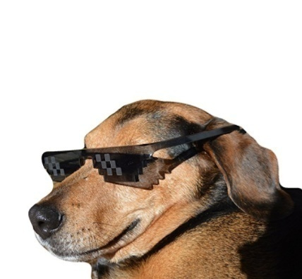 Smiley Face Sunglasses Meme Png, Transparent Png , Transparent Png Image |  PNG.ToolXoX.com