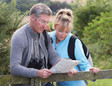 thumbnail - 1