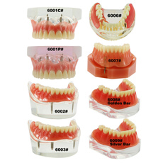 dentalmodel, dentalimplantmodel, toothmodel, dental