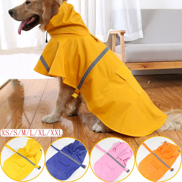 rainproof, hooded, raincoat, Pets