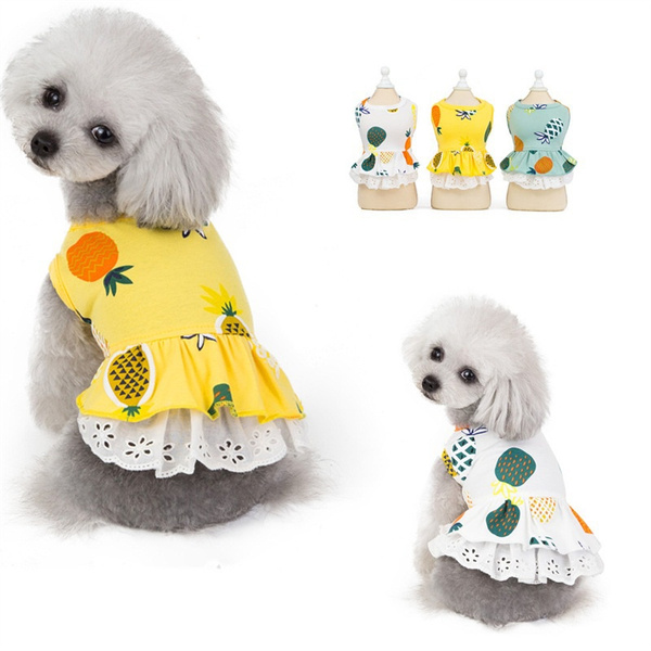 pineapple costume for dog