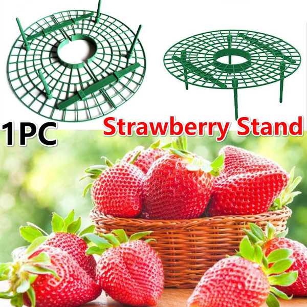 Flower Pillar Balcony Rack Gardening Stand Strawberry Stand Frame Holder
