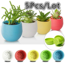 decorativeplanter, Plants, flowerpot, minipot