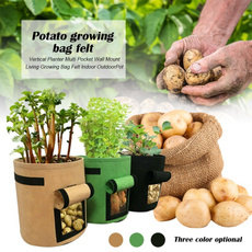 vegetabletool, Flowers, potatobag, nurserybag