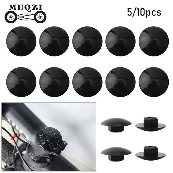 Bike headset hot sale screw