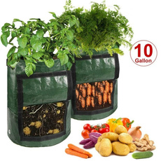 vegetablegrowing, seedsgrowbox, plantbag, Gardening