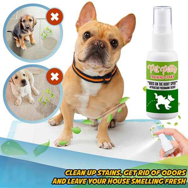 potty training aid spray