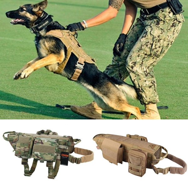 military dog holster