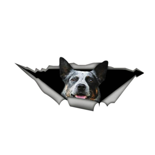 Dog Furacao Sticker by Tornado - Blue Heeler for iOS & Android