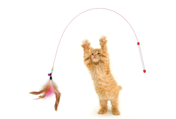 dog ball toss machine