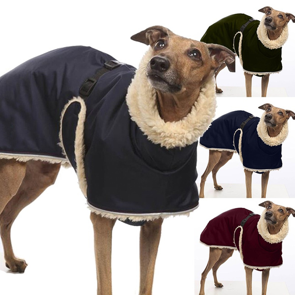 plus size dog clothes