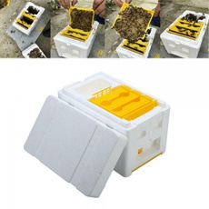 Box, King, beekeeping, Garden