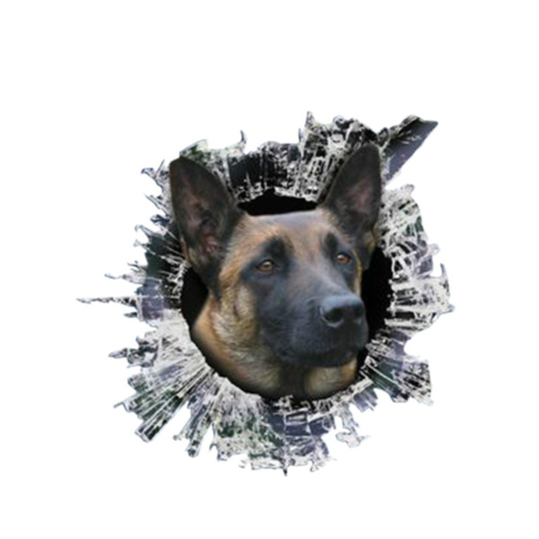 13cm X 12 2cm 3d Belgian Malinois Window Decal Glass Slag Decal 13cm X 12 2cm 3d Belgian Malinois Window Decal Glass Slag Decal