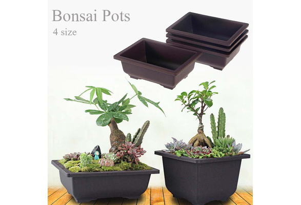 Rectangle Flower Pot Bonsai Nursery Planter Accessories Home Decoration Black 