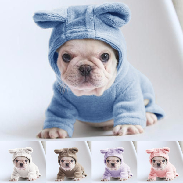 dog cute outfits