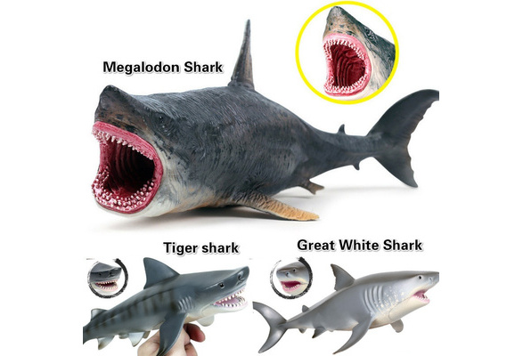 Toy great 2024 white sharks