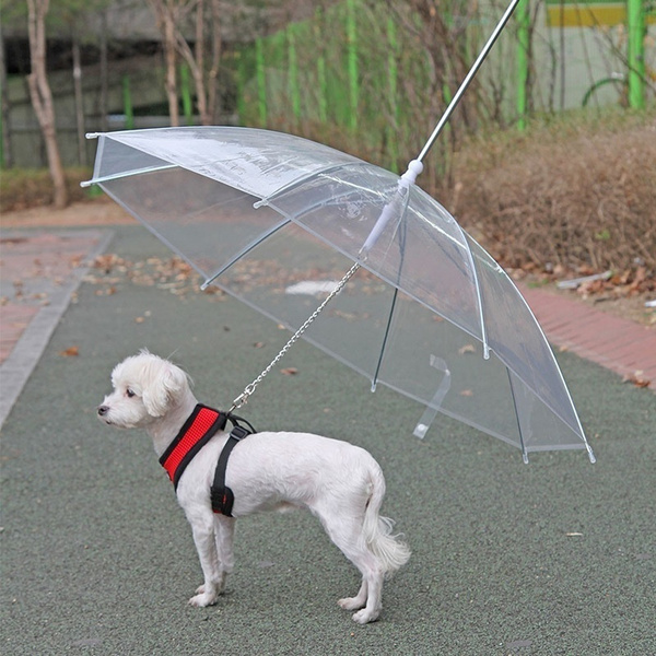 small dog umbrella