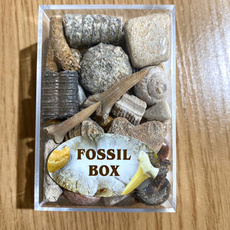 Box, Stone, Gifts, specimen