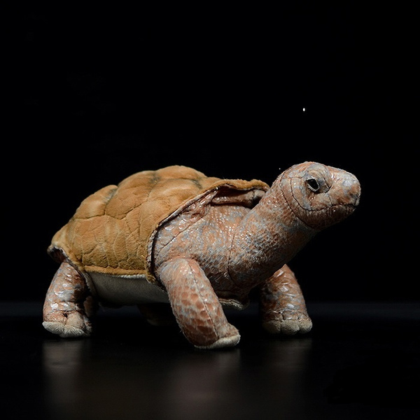 tortoise doll