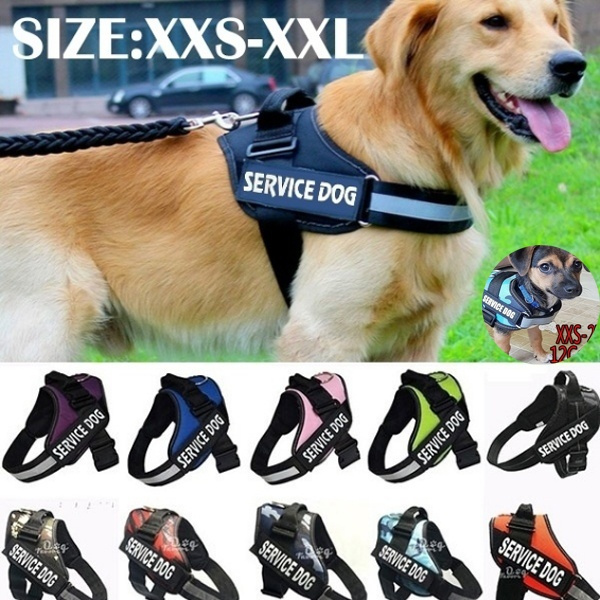 Xxl service dog store vest