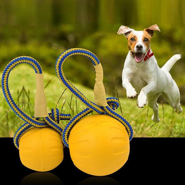 1PC Pet toy dog bite ball bite resistant plastic dog ball training dog