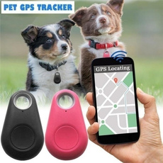 Mini, petstoy, Gps, Pets