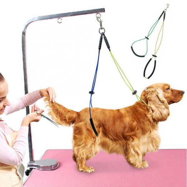 cocker spaniel grooming tools