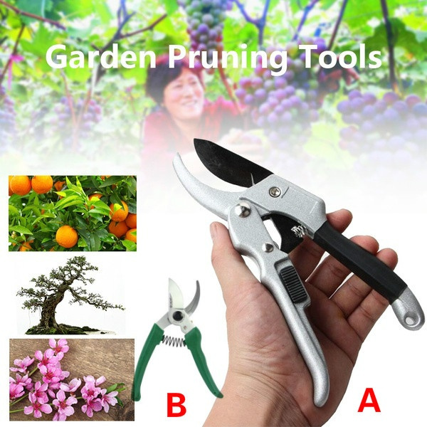 Ratchet Plant trim horticulture Hand Shear Orchard pruning pruner cut ...