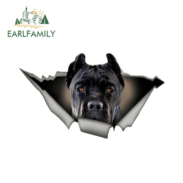cane corso car decals